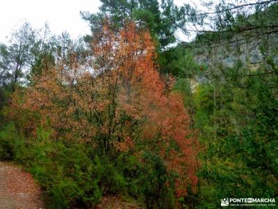 album de fotos laguna de peñalara monte abantos la pedriza castillo de coca viriato